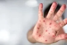 20240827060731731