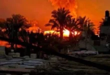 20250318123201321