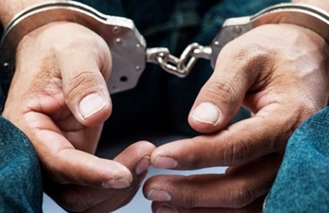 القبض على طباخ اعتدى على قطة بمطروح بعد انتشار فيديو الواقعة 1 1 21