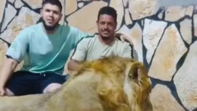 حادثة الأسد في ليبيا.. العامل المصري يكشف كواليس الفيديو المثير للجدل 1 11 4