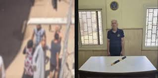 17 6