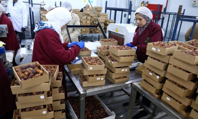 التمور المصرية: إنتاج ضخم وعقبات أمام التصدير 1 2 4