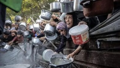 أرقام صادمة: مجاعة رسمية تضرب غزة وارتفاع عدد الضحايا 9 22 2