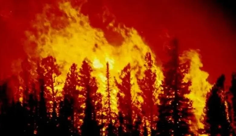 آلاف السكان يخلون منازلهم في إسبانيا وسط حرائق مميتة وموجة حر قياسية 1 26