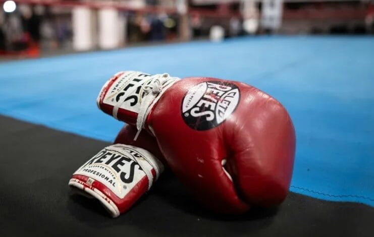 الملاكمة اليابانية على المحك.. وفاة ملاكمين تهدد مستقبل الرياضة إلى الأبد 1 30 5