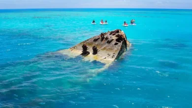 لغز سفينة USS Cyclops يفسر.. كيف تبتلع الأمواج برمودا في دقائق؟ 3 43 5