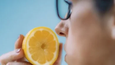 50 4