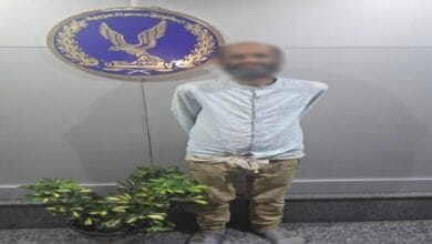 استجابة للغضب الشعبي.. القبض على معتدي على "قطة الإسكندرية" بعد تداول الفيديو 2 6 2