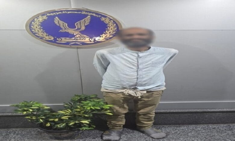 استجابة للغضب الشعبي.. القبض على معتدي على "قطة الإسكندرية" بعد تداول الفيديو 1 6 2