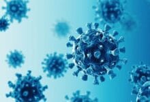 6891e44a4236047ffc21b1f2