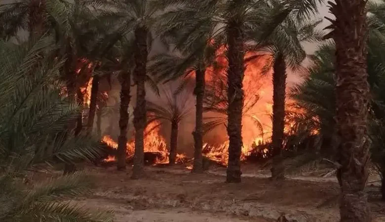 تساؤلات حول فعالية الإجراءات.. حرائق جديدة تضرب الجزائر مجددًا 1 8 6