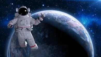 44 11