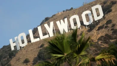 مبادرة مستلهمة من جنوب أفريقيا.. العاملون في السينما بهوليوود يقاطعون مهرجانات إسرائيلية 3 47 5