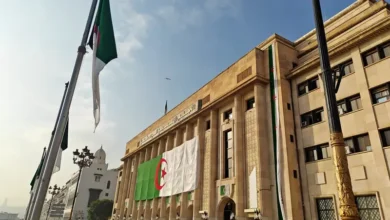المؤرخون والخبراء الاجتماعيون يوضحون أبعاد العلاقات الجزائرية التركية 1 6 14