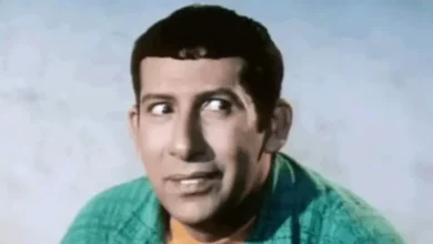 سر تعثر أجزاء أفلام "غبي منه فيه" و"تيتو": أبطال رحلوا والنجومية تعارض البطولة الجماعية 1 11 14
