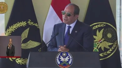 السيسي متفائل بنتائج مفاوضات غزة ويؤكد: مصر قادرة على تجاوز أي تحدٍ 2 2 4