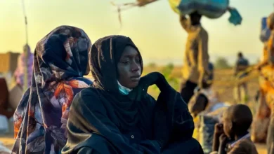فظائع مرعبة في الفاشر: شهادات عن إعدامات جماعية ونداءات إغاثة دولية عاجلة 1 1