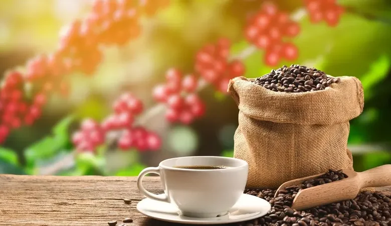وعد أمريكي بخفض الرسوم الجمركية يريح أسواق البن.. وتوقعات بإنهاء قيود الإمدادات على أرابيكا 1 18 7
