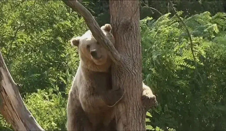 19 3