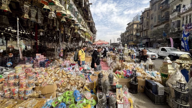 خطة تأمين المائدة : مصر تُطلق مشروع Carry On وتُفعّل البورصة السلعية لضبط أسواق رمضان 2026 3 323778