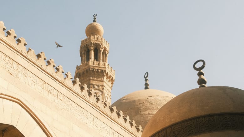معجزة في قاع المحيط .. كيف سجلت أم وابنتها أكبر مستعمرة مرجانية في التاريخ؟ 1 324239 1