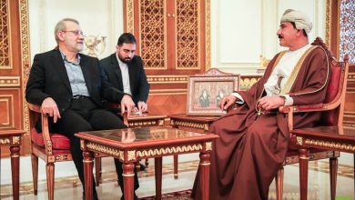 "دبلوماسية التحصين".. لاريجاني في مسقط وإيران تلوح بـ ثورة في فريقها التفاوضي لتجنب الصدام 2 698af31542360431f4529562