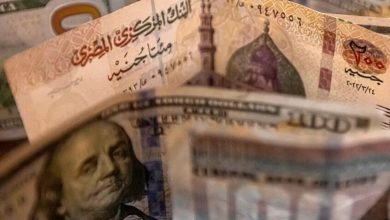 "استثمار بامتيازات ذهبية".. البرلمان المصري يشرعن مظلة حماية شاملة للمغتربين ونظاماً جديداً للحوافز 1 69a034204c59b7355c6515e3