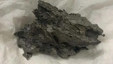 "من الفضاء إلى قبضة القانون".. إحباط محاولة تهريب نيزك درونينو النادر من موسكو إلى دبي 1 69a96d2f4c59b7296469257c