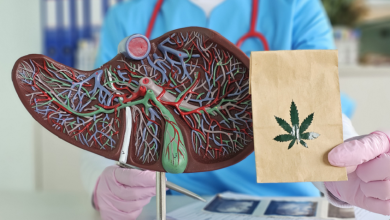 "إعادة تدوير الدهون".. كيف تمنح مركبات القنب خلايا الكبد طاقة متجددة لعلاج السمنة؟ 1 69bbca3c4c59b7524f71dc63