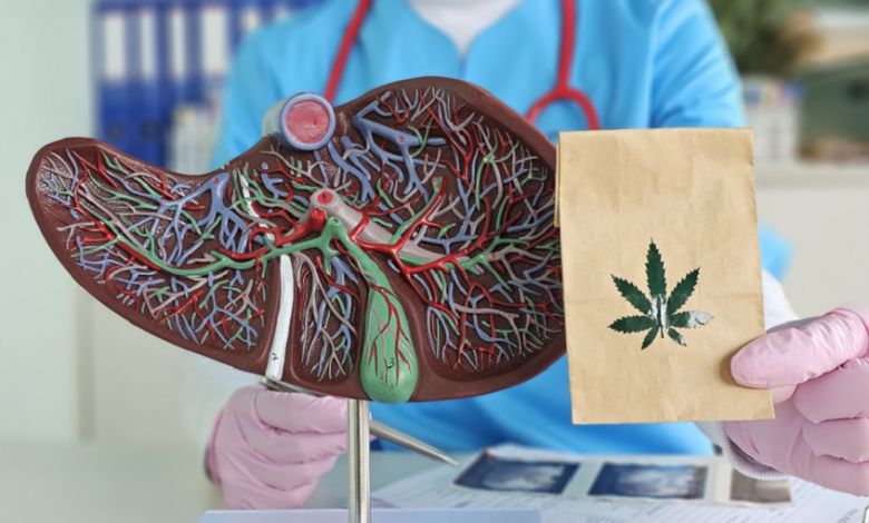 "إعادة تدوير الدهون".. كيف تمنح مركبات القنب خلايا الكبد طاقة متجددة لعلاج السمنة؟ 1 69bbca3c4c59b7524f71dc63