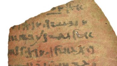 اكتشاف كنز أثري: 43 ألف قطعة فخارية مصرية قديمة 8 d8a7d983d8aad8b4d8a7d981 d983d986d8b2 d8a3d8abd8b1d98a 43 d8a3d984d981 d982d8b7d8b9d8a9 d981d8aed8a7d8b1d98ad8a9 d985d8b5d8b1d98ad8a9