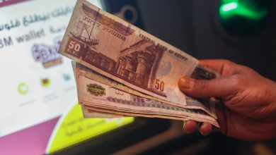 "موازنة الحماية الاجتماعية".. مصر ترفع الحد الأدنى للأجور إلى 8000 جنيه وتضخ استثمارات ضخمة في البشر 1 69cd505f42360434d351b4a3
