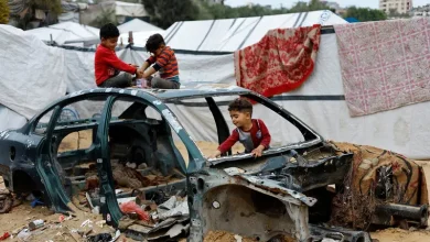 غزة تحت وطأة غزو القوارض معاناة النازحين في مخيمات خان يونس بين قسوة الحر ونقص العلاج 1 77060d99 d39c 43d8 a82b 657932162858 16x9 1200x676
