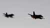 d8a5d8b3d8b1d8a7d8a6d98ad984 d8aad8b9d98ad8af d8add8b3d8a7d8a8d8a7d8aad987d8a7 d981d98a d985d988d8a7d8acd987d8a9 d8a5d98ad8b1d8a7d986