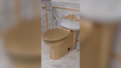 تمثال ب toilet ذهبي يهاجم ترامب في واشنطن 1 d8aad985d8abd8a7d984 d8a8 toilet d8b0d987d8a8d98a d98ad987d8a7d8acd985 d8aad8b1d8a7d985d8a8 d981d98a d988d8a7d8b4d986d8b7d986
