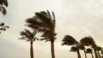 da76525d b4d4 4364 b270 268a90a5ef00 16x9 1200x676 1