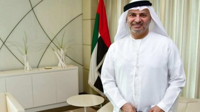 قرقاش: التنمر الإيراني محاولة لفرض واقع جديد.. والسيادة الإماراتية خط أحمر 4 6a0ee9ac4c59b747f44f105e