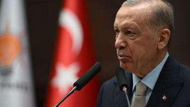 قمة السلام الإقليمي: أردوغان يرحب بجهود ترامب الدبلوماسية مع إيران ويؤكد دعم أنقرة لاستقرار الملاحة 5 6a1238ba423604097212b7e7