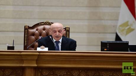ليبيا ومصر: نحو تكامل شامل 1 d984d98ad8a8d98ad8a7 d988d985d8b5d8b1 d986d8add988 d8aad983d8a7d985d984 d8b4d8a7d985d984