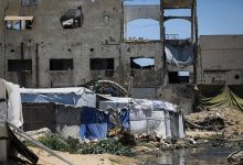 تحت وطأة الأنقاض: غزة تواجه غزو القوارض وتحديات صحية بيئية غير مسبوقة 2 6a291464423604077d554995