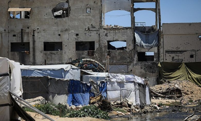 تحت وطأة الأنقاض: غزة تواجه غزو القوارض وتحديات صحية بيئية غير مسبوقة 1 6a291464423604077d554995