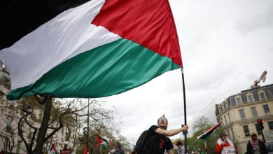 باريس تمنح المواطنة الفخرية للمدنيين الفلسطينيين 3 d8a8d8a7d8b1d98ad8b3 d8aad985d986d8ad d8a7d984d985d988d8a7d8b7d986d8a9 d8a7d984d981d8aed8b1d98ad8a9 d984d984d985d8afd986d98ad98ad986