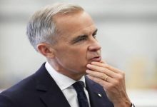 d983d986d8afd8a7 d8aad981d8b4d984 d981d98a d8add985d8a7d98ad8a9 d98ad987d988d8afd987d8a7 d985d986 d8a7d984d983d8b1d8a7d987d98ad8a9