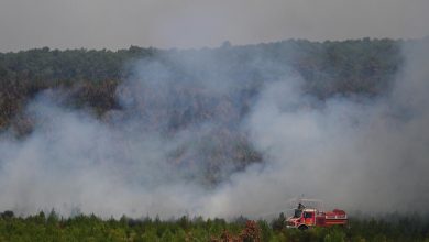 d8add8b1d8a7d8a6d982 d8bad8b1d8a8 d8a3d988d8b1d988d8a8d8a7 d8aad987d8afd8af d8a8d8afd985d8a7d8b1 d988d8a7d8b3d8b9