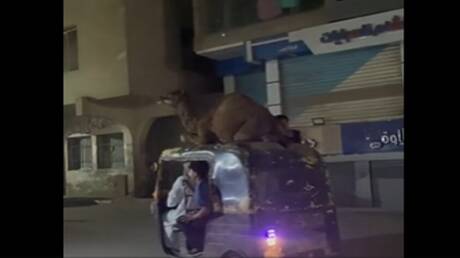 فيديو سائق توك توك يثير ضحك المصريين 1 d981d98ad8afd98ad988 d8b3d8a7d8a6d982 d8aad988d983 d8aad988d983 d98ad8abd98ad8b1 d8b6d8add983 d8a7d984d985d8b5d8b1d98ad98ad986