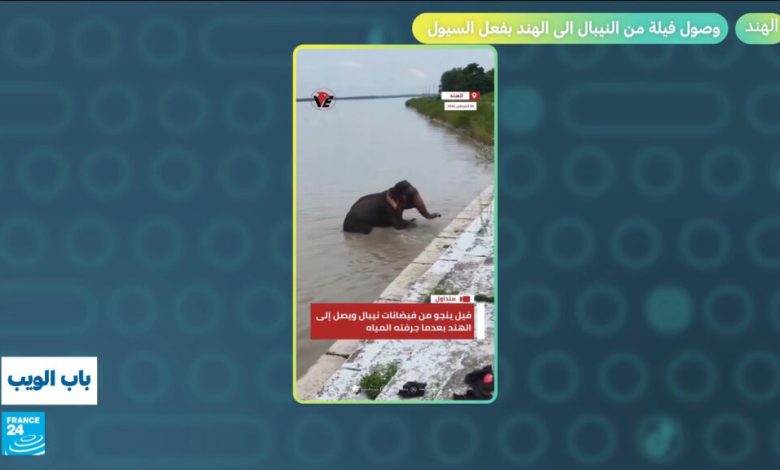 أخبار عربية وعالمية: جدل في الأردن وصدمة في تونس وحفل ليبيا ينتهي بقذيفة 1 d8a3d8aed8a8d8a7d8b1 d8b9d8b1d8a8d98ad8a9 d988d8b9d8a7d984d985d98ad8a9 d8acd8afd984 d981d98a d8a7d984d8a3d8b1d8afd986 d988d8b5d8afd985