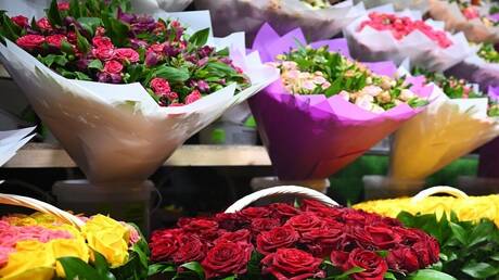 الصداع النصفي والروائح النباتية القوية 1 d8a7d984d8b5d8afd8a7d8b9 d8a7d984d986d8b5d981d98a d988d8a7d984d8b1d988d8a7d8a6d8ad d8a7d984d986d8a8d8a7d8aad98ad8a9 d8a7d984d982d988