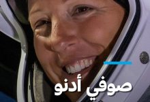 d8b1d8a7d8a6d8afd8a9 d981d8b6d8a7d8a1 d981d8b1d986d8b3d98ad8a9 d8aad983d8b4d981 d8a2d8abd8a7d8b1 d8a7d984d8aad8bad98ad8b1 d8a7d984d985