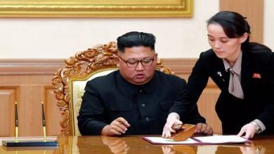 d983d988d8b1d98ad8a7 d8a7d984d8b4d985d8a7d984d98ad8a9 d8aad987d8afd8af d8a7d984d98ad8a7d8a8d8a7d986 d8a8d8b6d8b1d8a8d8a9 d985d8afd985