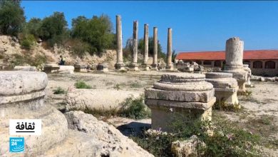 d8a7d984d985d8afd986 d8a7d984d8b9d8b1d8a8d98ad8a9 d983d986d988d8b2 d8add8b6d8a7d8b1d98ad8a9 d8b9d984d989 d984d8a7d8a6d8add8a9 d8a7d984